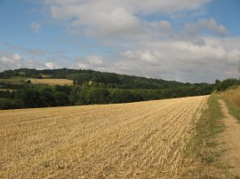 Fields nr Tandridge